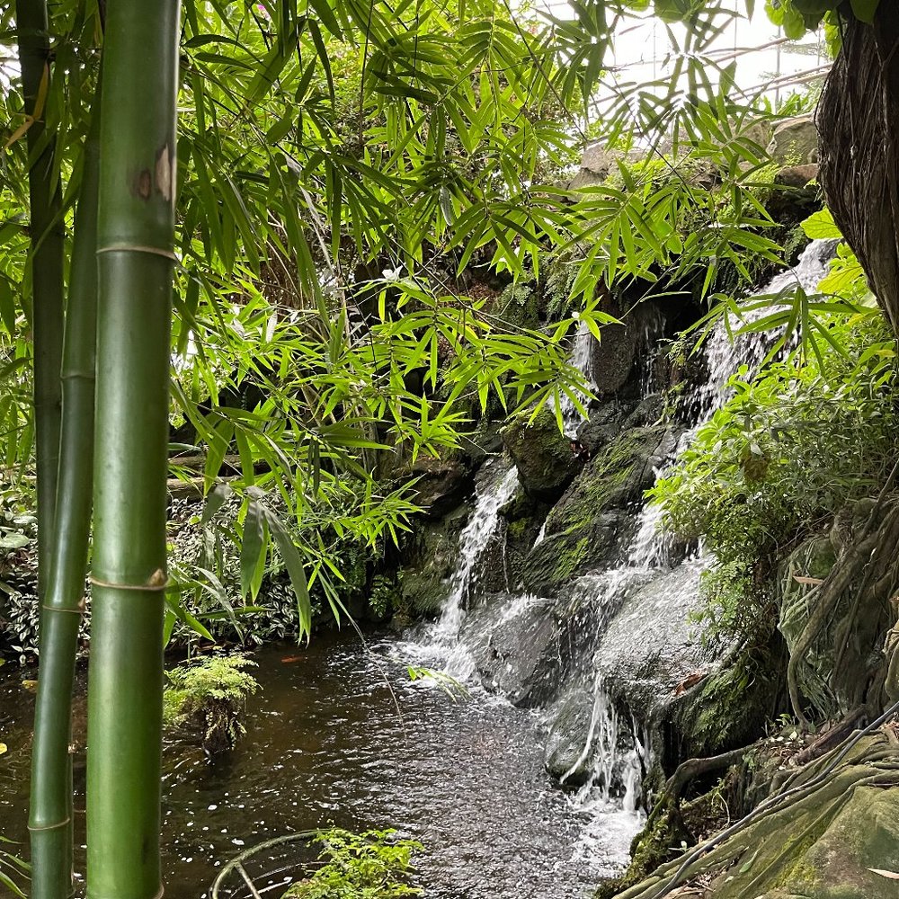 Meet your Posher, Justin